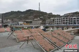 百余名台胞台属聚浙江台州：根连心连 两岸相连图片