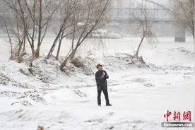 兰州市民雪中放风筝图片
