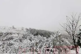 风雪中汇聚温暖 残障女孩励志故事引各界关怀图片