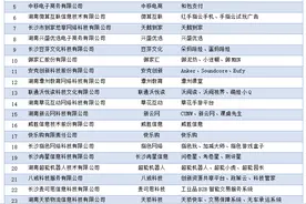 长沙企业囊括2020年湖南省互联网企业50强图片