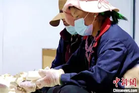 西藏农牧民不离乡不离土 实现就业增收图片