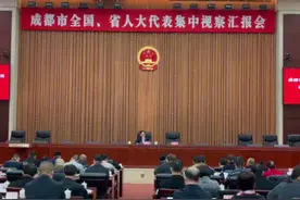 成都市全国、省人大代表听汇报 这一年成都市国民经济和社会发展怎么样？视频封面