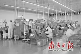 从加工制造到全产业链发展图片