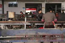 包树网是个啥东东？淮滨“农民造”都创汇俏西欧啦图片