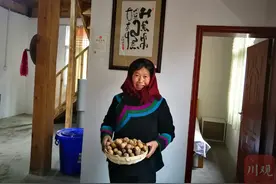 彝海结盟的新篇章——珠海、佛山跨越千里真情对口帮扶凉山图片