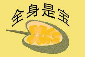 全身是宝的菠萝蜜图片