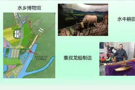 东莞将诞生一个巨无霸现代农业产业园！总投资4亿横跨三个社区图片