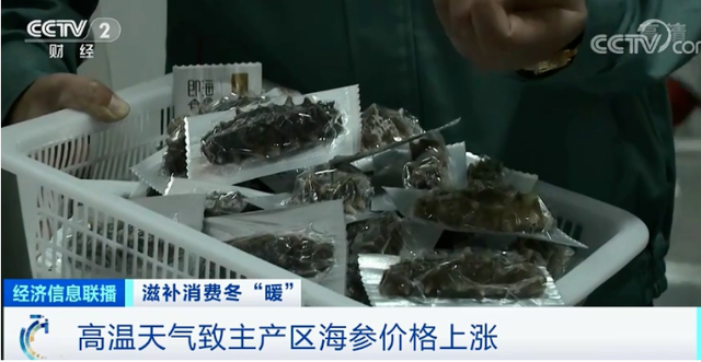 花胶贵海参贵 2026年花胶海参哪个好