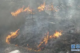 南加州尔湾附近爆发山火图片