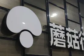 蘑菇街：三心二意的风口“预言家”图片