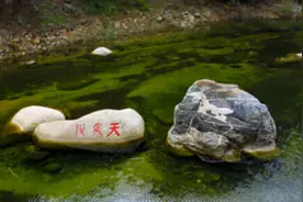 今后捡走一块泰山石，最高罚两万图片