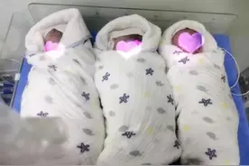 莱州市妇幼保健院迎来第5例三胞胎图片