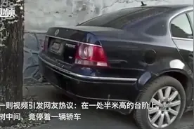 奇葩！前后都是大树，轿车竟停半米高台阶上图片