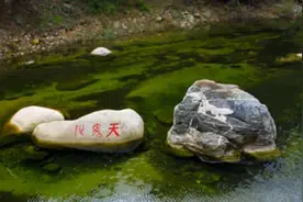 在这里拿走一块石头，最高罚2万图片