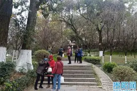 大龄男女婚恋难 父母上阵“操碎心”图片