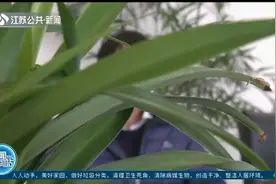 扬州：交钱就能定位查人？男子掉入“黑客”陷阱被骗惨！视频封面