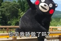 又有公交车全面升级焕新，快来看是不是你经常乘的那辆？图片