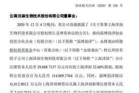 11.4亿元“贱卖”核心资产，一接盘方仅成立半月，沃森生物被疑利益输送图片