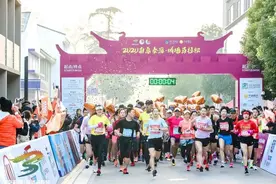2020南京秦淮•城墙马拉松盛大开跑图片