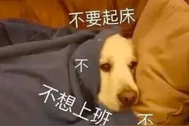 “大雪”已至，南宁却还未真正入冬图片