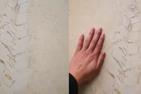 政府大厅地砖现2000万年巨型海螺化石，专家：和金字塔材料同品种，现在值一万元视频封面