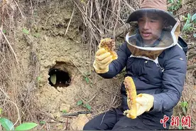 广西鹿寨贫困户玩直播带货变身创业新星 以电商帮老乡卖滞销农产品图片