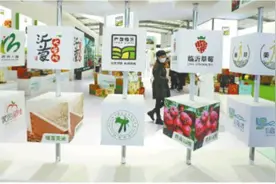 沂蒙优质农产品亮相上海图片