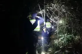 又黑又怕！杭州夫妻带娃闲逛，被困荒山：8岁儿子和5岁女儿怎么办啊图片