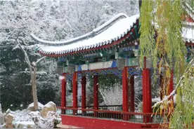 雪天开车不“打滑”烟台司机：冰雪路面行车技巧一定要知道图片