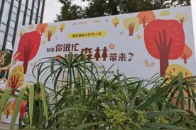 看落叶飞舞、参加森林音乐会…… 杭州梦想小镇里出现了一个“漂流森林”图片