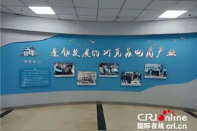 「外籍记者看新疆」阿克苏市电商创业孵化基地：扶贫先扶智 电商显身手图片
