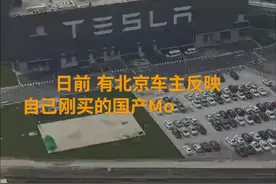 中国财富报道|国产Model3磷酸铁锂电池 上演里程打折“罗生门”视频封面