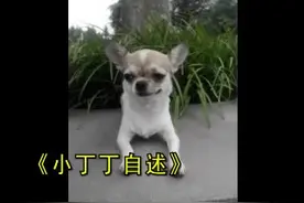 六年时光（中）图片