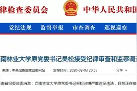 看黄色书籍、收犀牛角象牙…西南林大原党委书记吴松贪腐细节披露图片