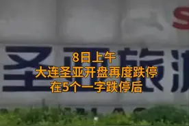 中国财富报道｜连砸6个跌停！惨烈“杀猪盘”来了视频封面