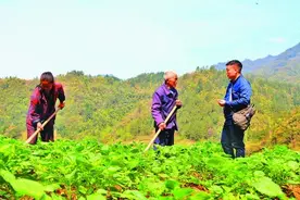 脱贫摘帽后，蓄足力量再出发图片
