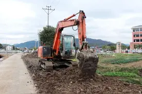 明年，到黄岩这个地方，欣赏最美“樱花雨”图片