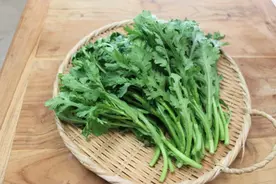 日本现问题茼蒿 农药残留超标180倍 至少在4家商店销售图片
