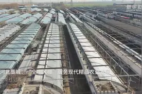 河北藁城：“全电大棚”服务现代精品农业发展视频封面