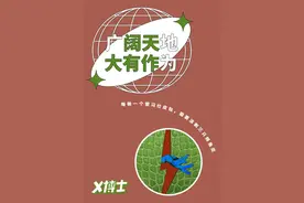 爱马仕屠杀了多少鳄鱼图片