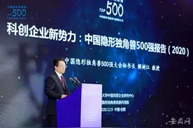 合肥28家企业跻身中国隐形独角兽500强 位列全国第六图片