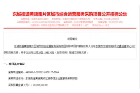 东莞中心城区有大动作！多个更新项目启动图片