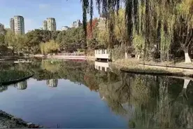72岁老爷叔大冷天跳河救人！之后的故事更令人动容图片