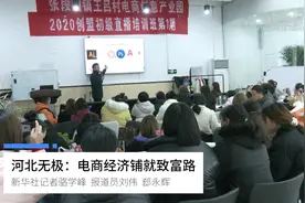 河北无极：电商经济铺就致富路视频封面