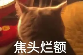 挺“秃”然的！我国超2.5亿人受脱发困扰，过半数植发者是90后图片