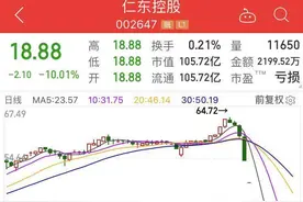 仁东控股庄家被司法控制，深交所出手！京基智农蹊跷同步大跌图片