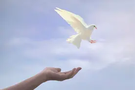 善待自己，从不生气开始图片
