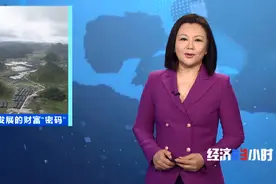 小小蘑菇拉动144亿元产值！曾经的贫困户，如今年入十几万元图片
