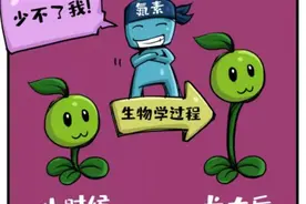 原来豆科与非豆科植物就此有了不同命运，中国科学家回答了百余年来的科学难题图片