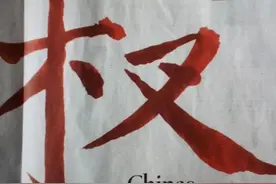 不懂中文的尴尬？德媒报道指责中国“战狼外交”，汉字写错了图片